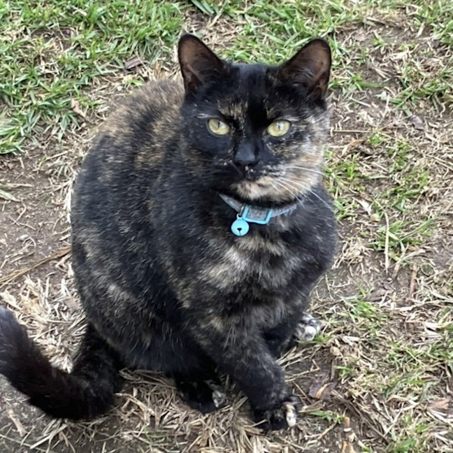 Photo of Peggy (Miss Pippy)