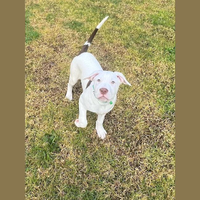 Photo of ❄️ Snowy ❄️