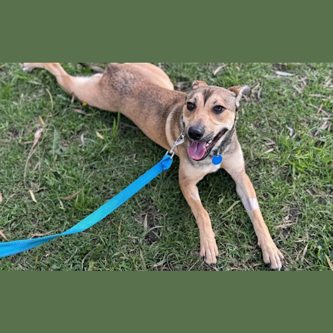 Photo of Roo