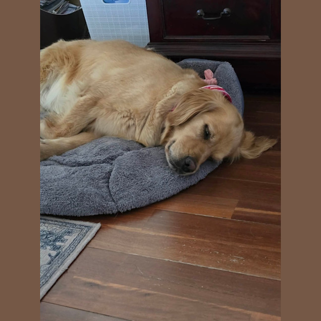 Photo of Butternut Snap