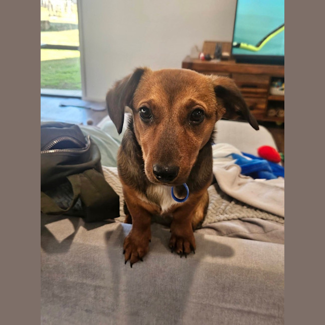 Photo of Elsa