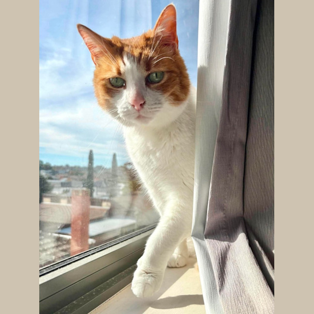 Photo of Charlie 