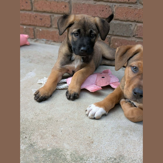 Photo of Astrid