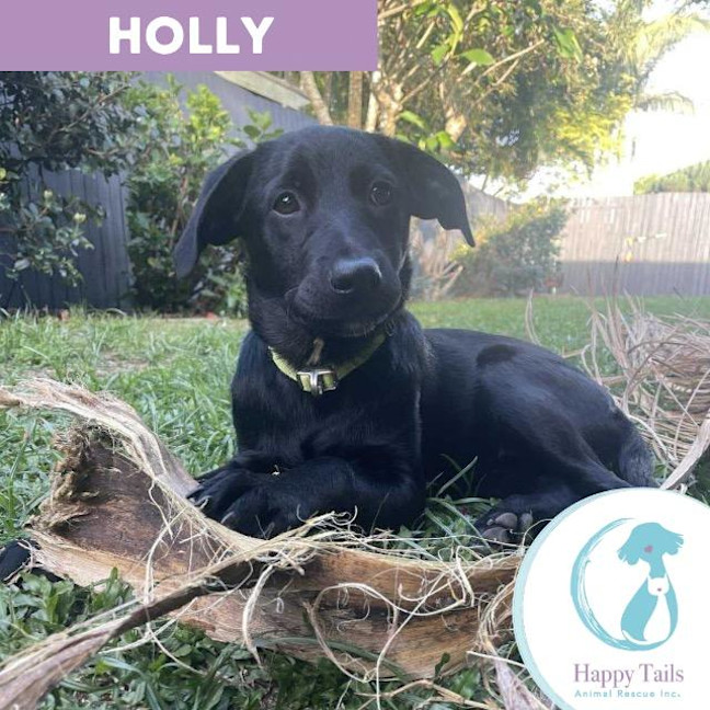 Photo of Holly