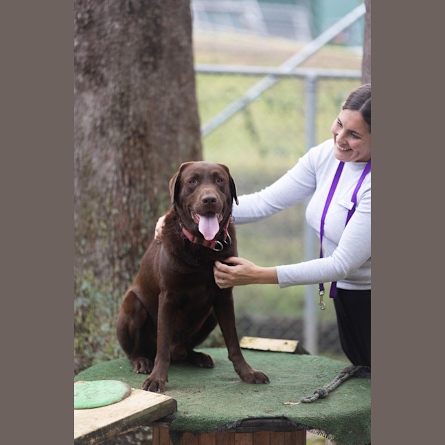 Photo of Cadbury