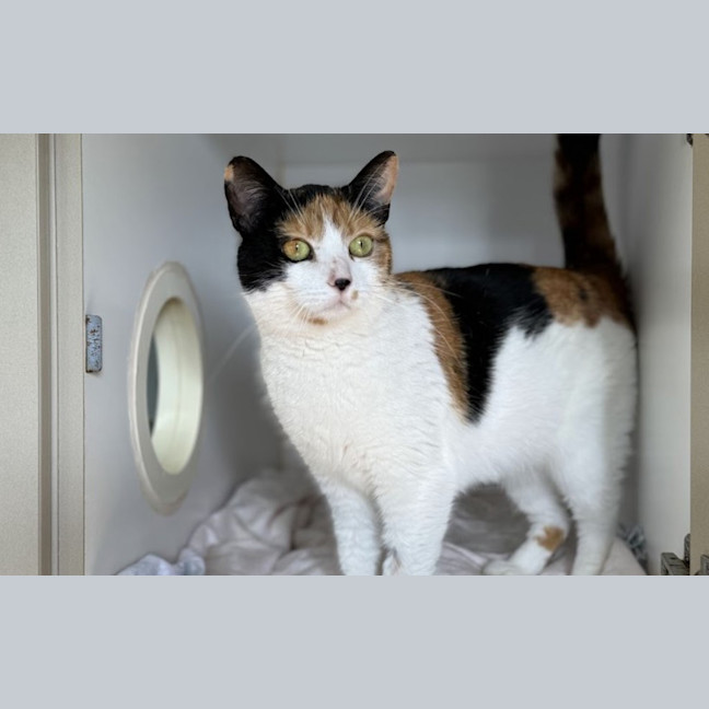Photo of Cecelia