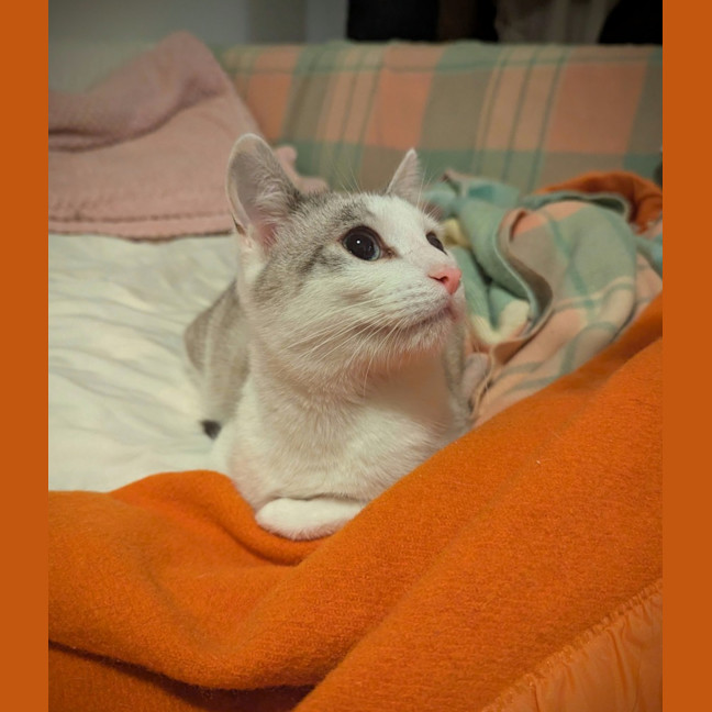 Photo of Benito