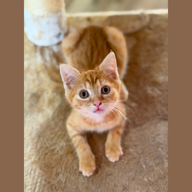 Photo of Jethro