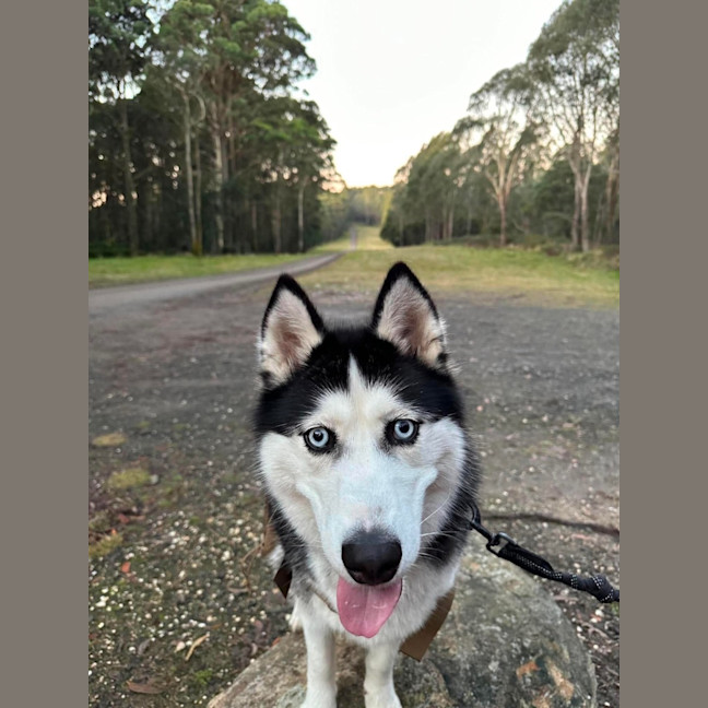 Photo of Athena