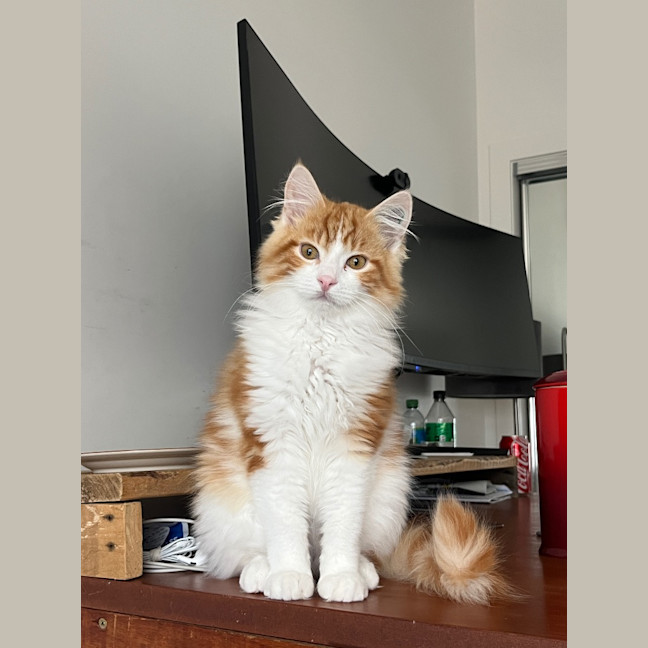 Photo of Leo