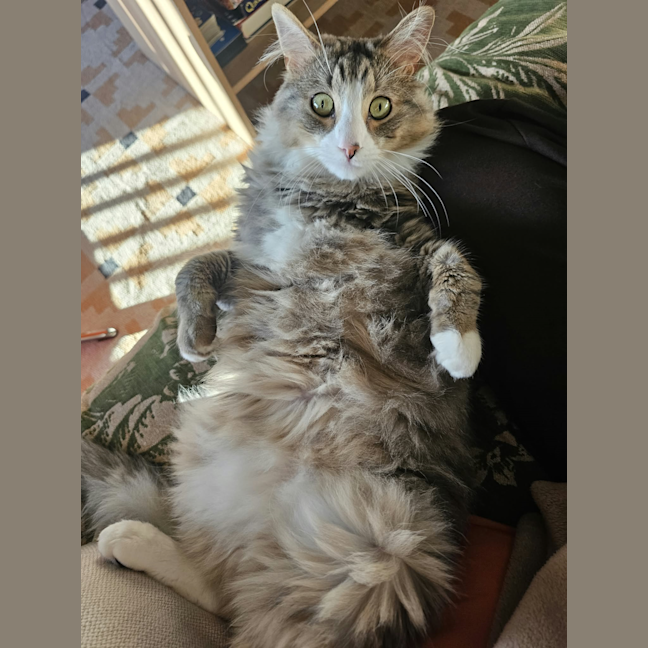 Photo of Ghost