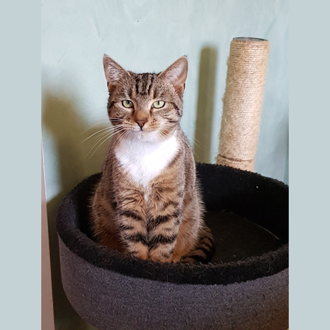 Photo of Luna