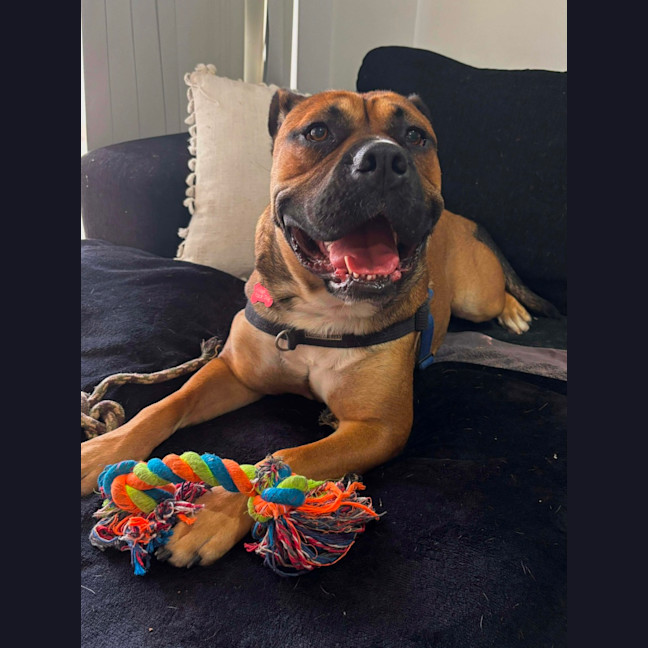 Photo of Arlo