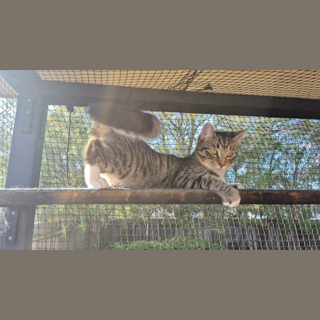 Photo of Bun Bun