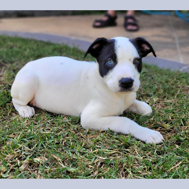 Photo of Geoffrey (P22)