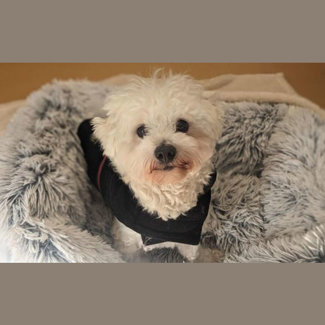 Photo of Max