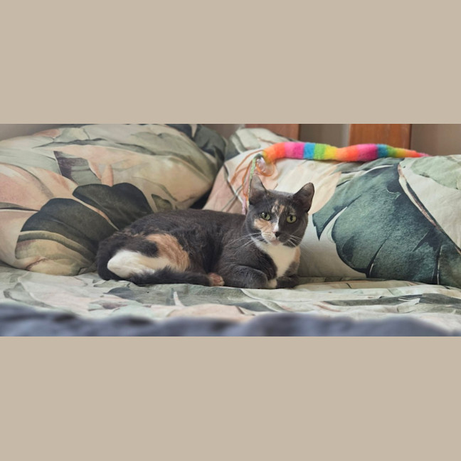 Photo of Cali