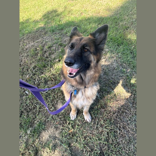 Photo of Jade