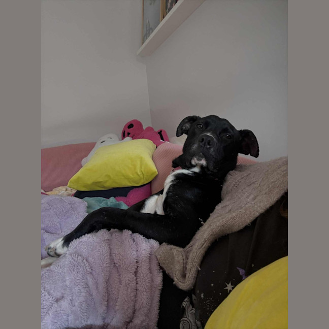 Photo of Sanka