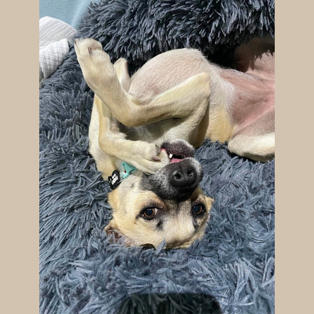 Photo of Coco