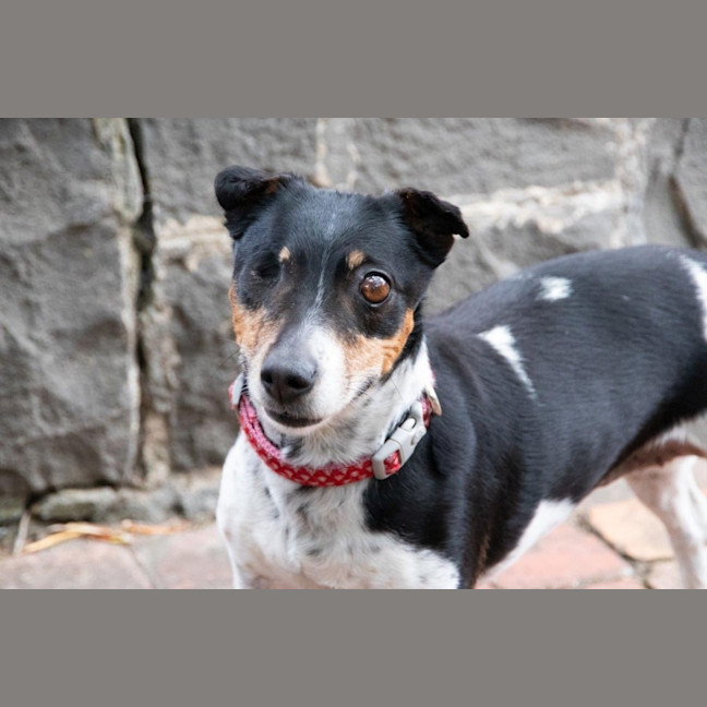 Photo of Bella Valenti