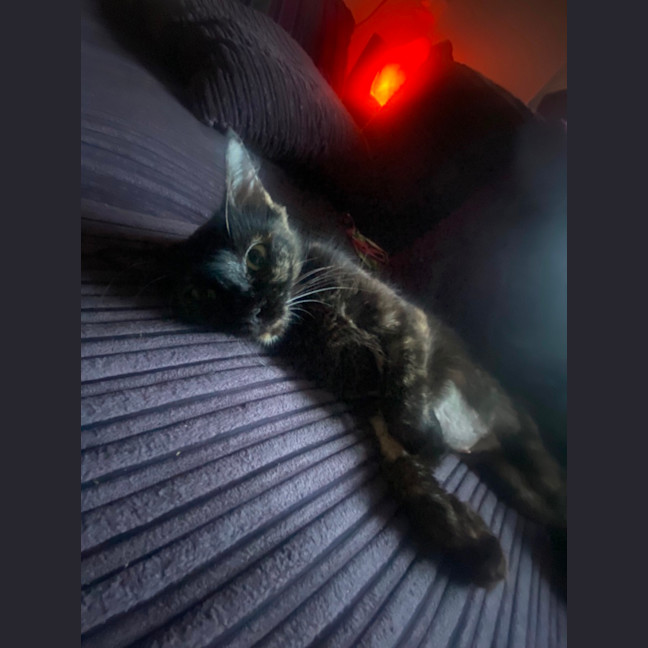 Photo of Heidi  🥰