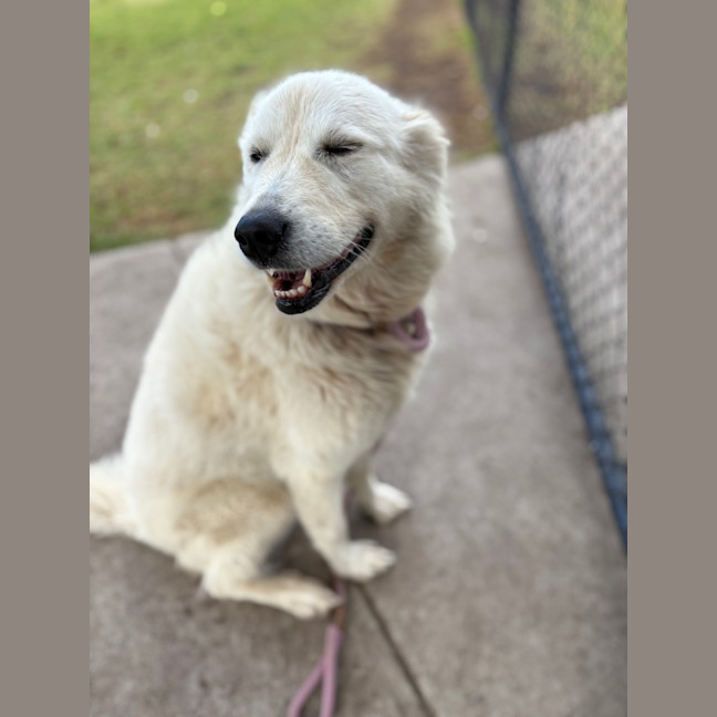 Photo of Willow