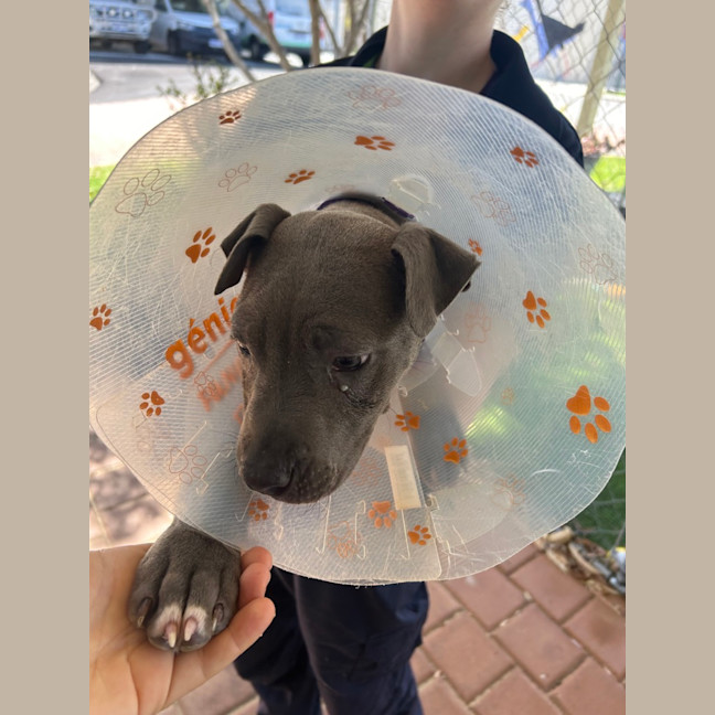 Photo of Zeus