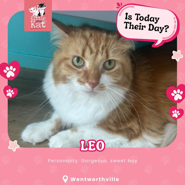 Photo of Leo