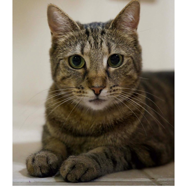 Photo of 13627   Suki