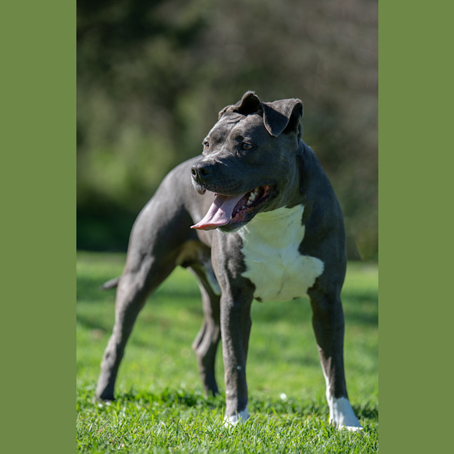 Photo of Ghost