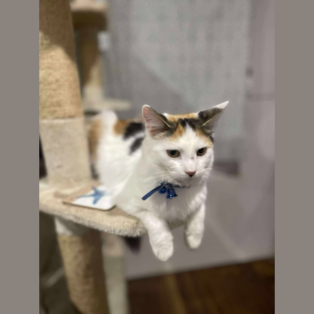 Photo of Spice