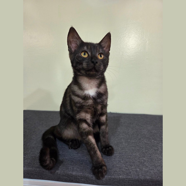 Photo of Wednesday