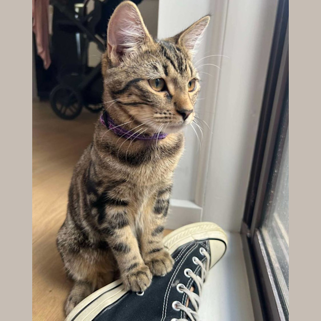 Photo of Tiga & Winnie 