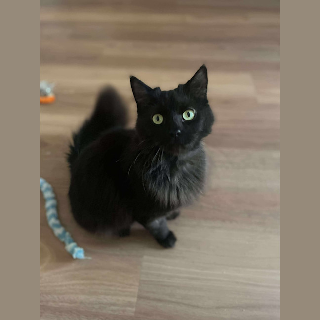 Photo of Morticia