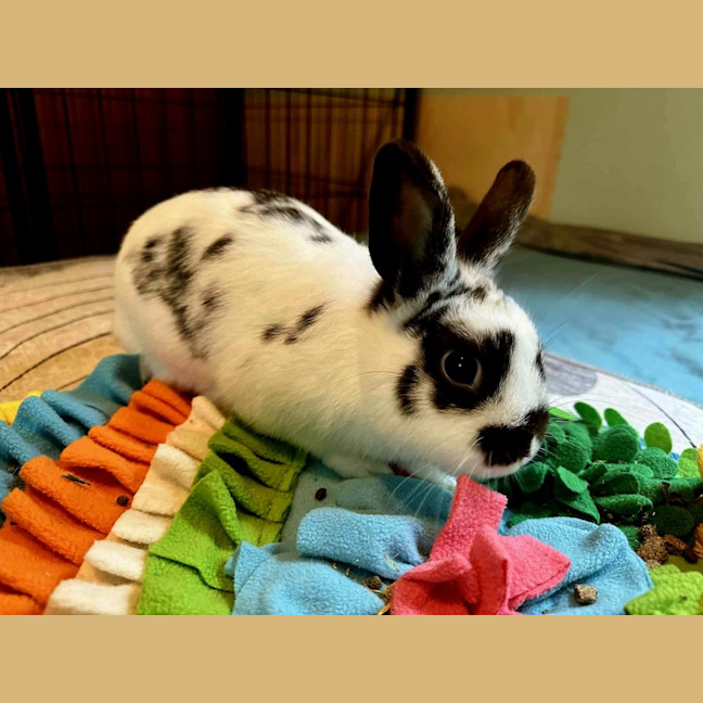 Photo of Strawberry And Popcorn 