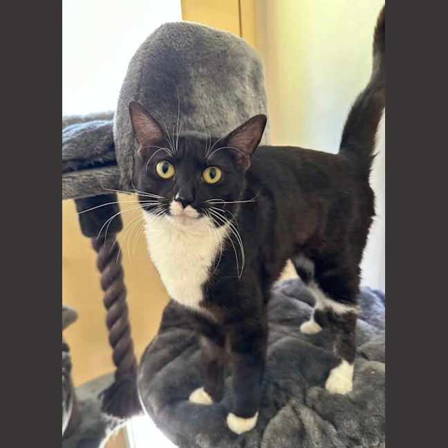 Photo of Freddie