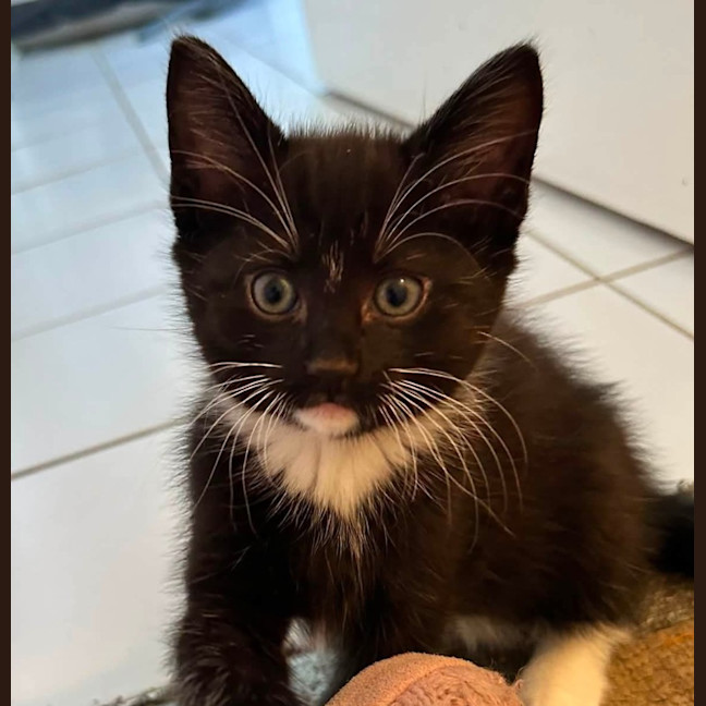 Photo of Kat