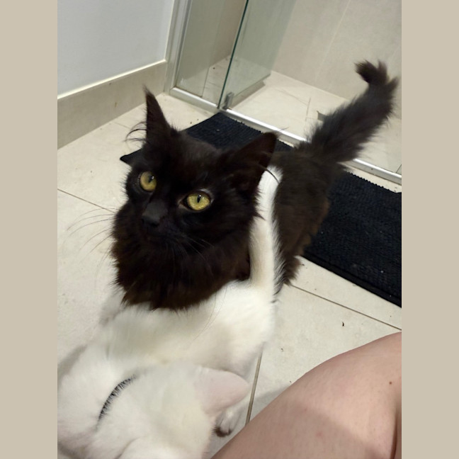Photo of Dora