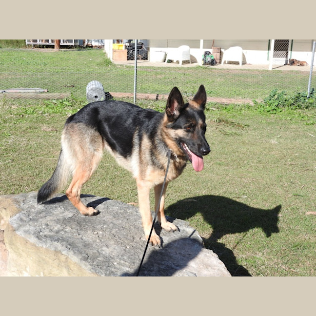 Photo of Bessy