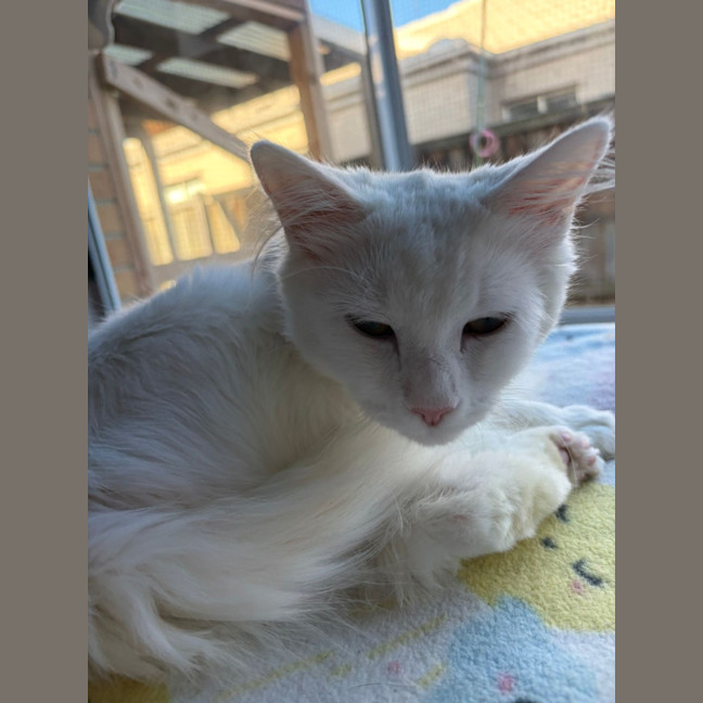 Photo of Yuki