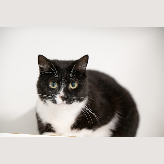 Photo of Molly