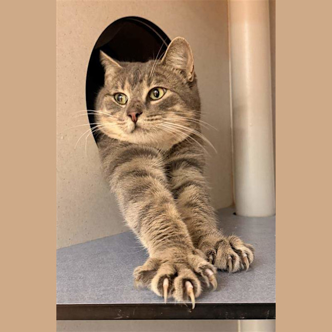 Photo of Hugo