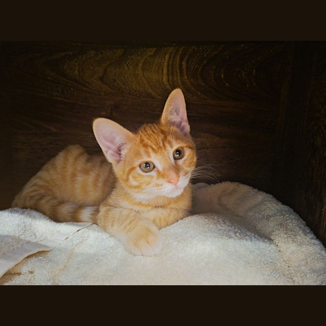 Photo of Marty