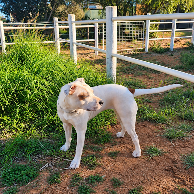 Photo of Missie