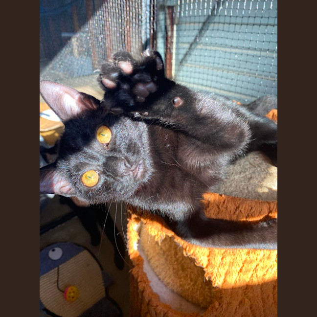 Photo of Mini