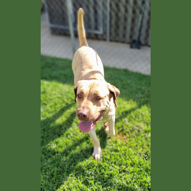 Photo of Dotty