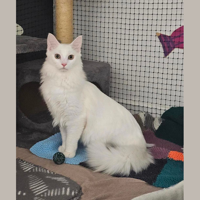 Photo of Cloud