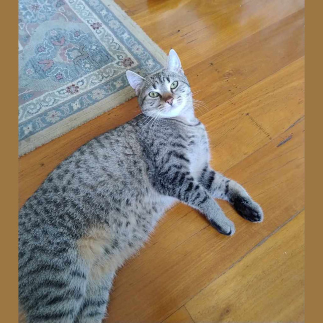 Photo of Oliver