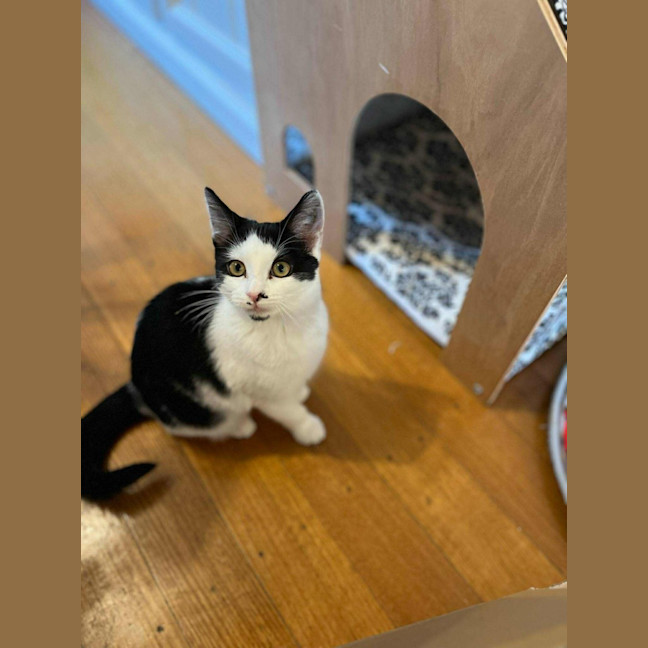 Photo of Plankton   Located In Frankston